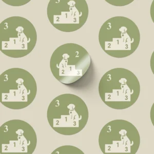 Naklejki treningowe zawody (6 szt.)