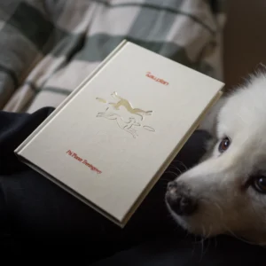 Planer treningowy hau.plan