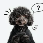 Papierowy planer treningowy Hauplan, czyli dlaczego nie zrobiliśmy aplikacji