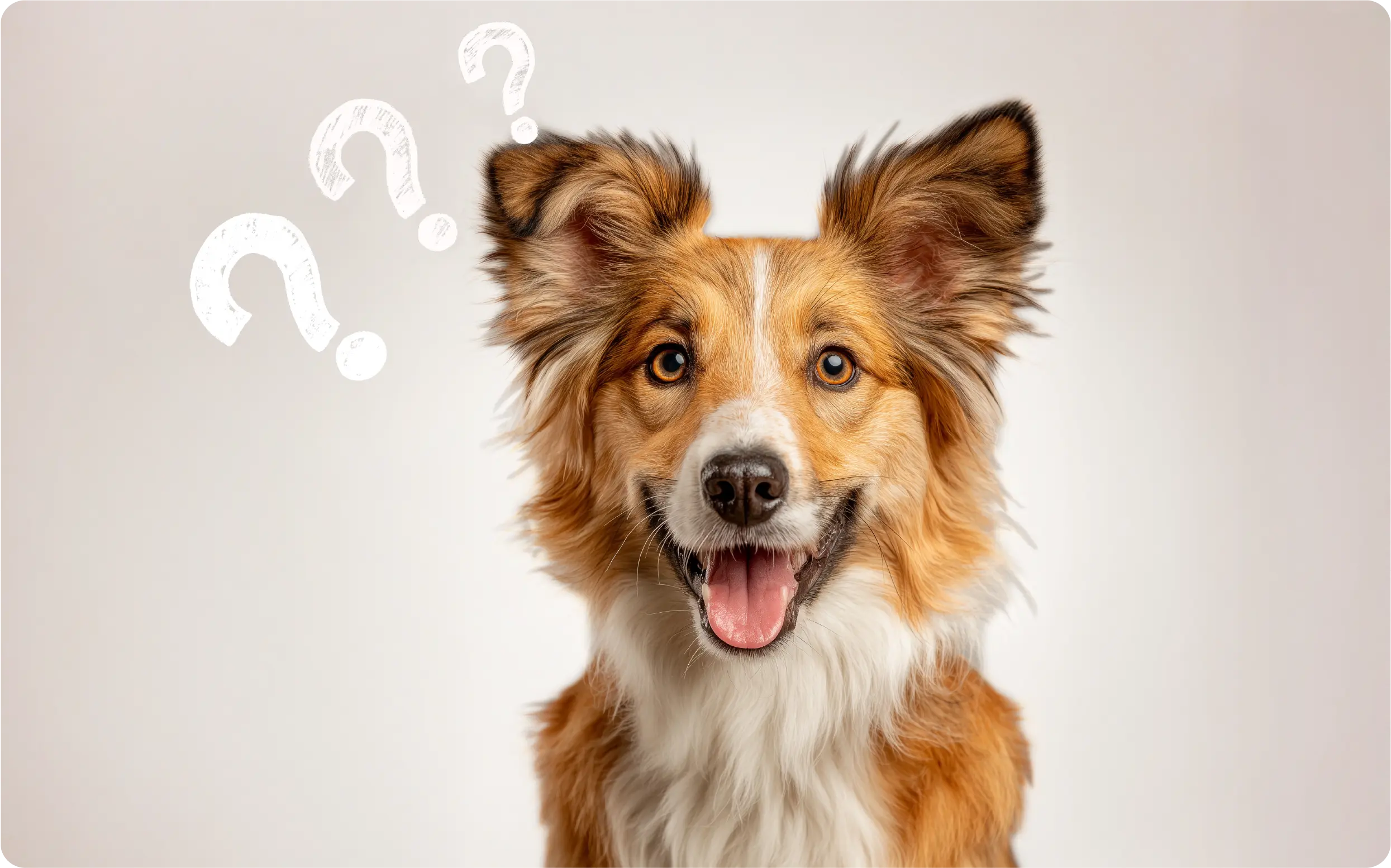 Jak korzystać z planera treningowego hau.plan