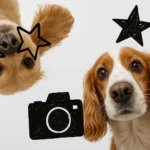 Psy z Instagrama, które podziwiasz, nie istnieją